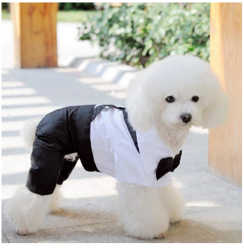 Suit Puppy Costume Jumpsuit Coat Clothes