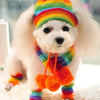 Fashion Stripe Knitted Pet Dog Hat