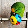 Parrot Chew Ball Swing Cage