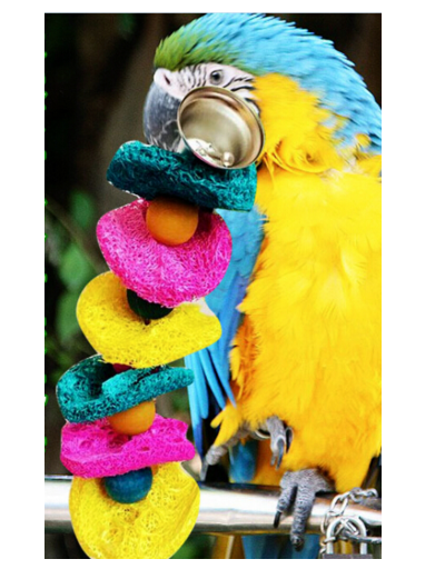 Parrot Chew Bite-Resistant Toys