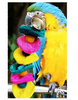 Parrot Chew Bite-Resistant Toys