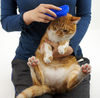 Cleaning Massage Brush Device Pet Grooming